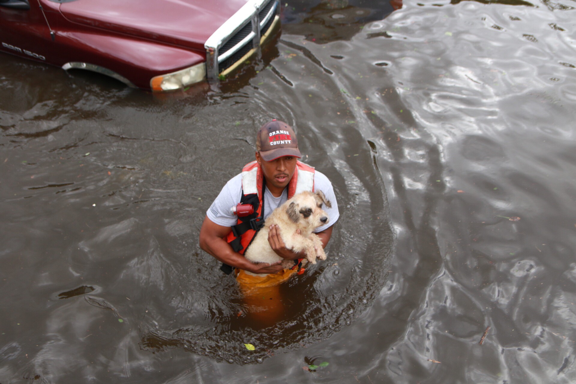 Empleado de administración de emergencias con un perro rescatado