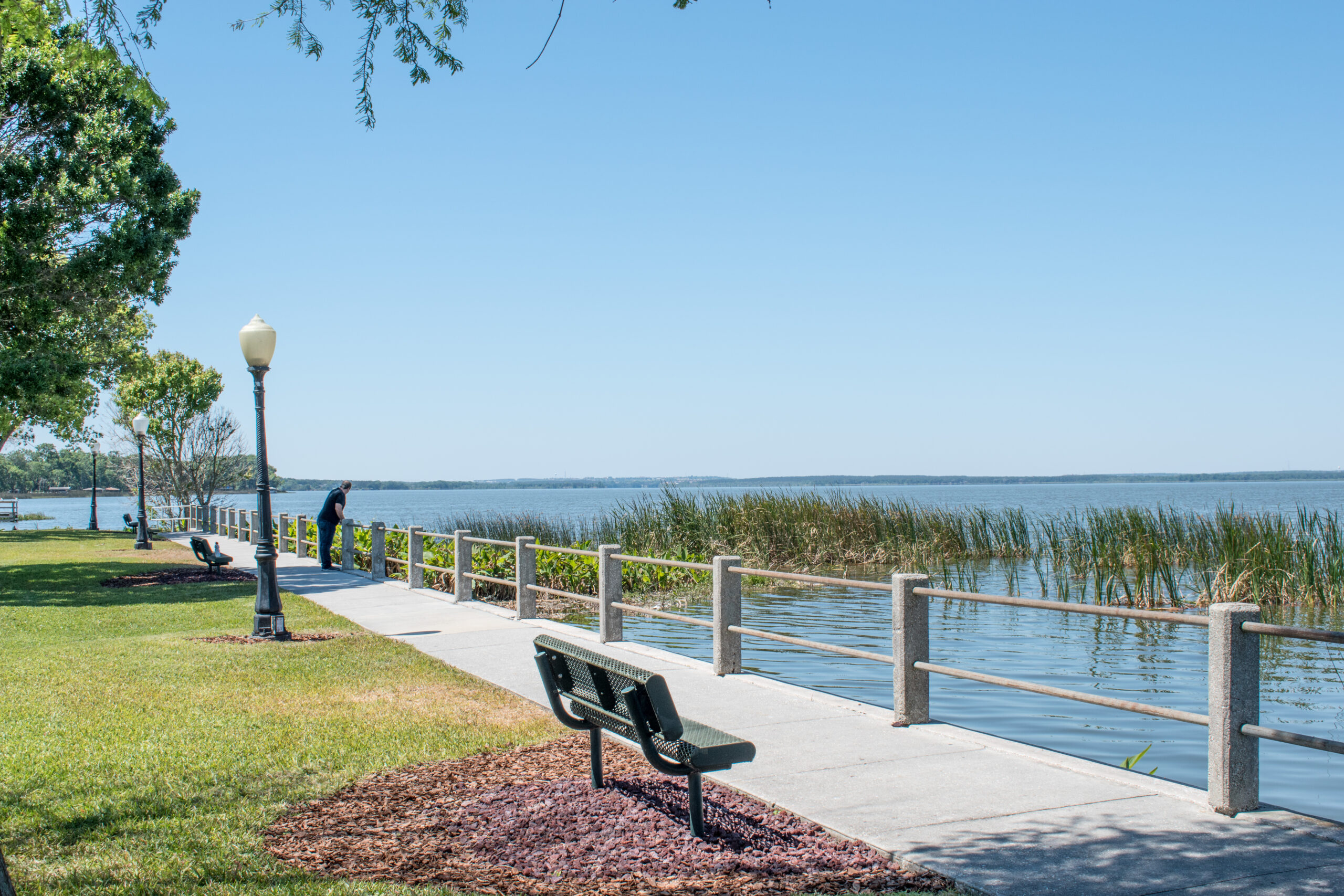A man stands on a walking path at the edge of Lake Apopka with a clear, blue sky.